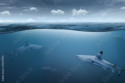 Sharks in the Ocean underwater deep blue sea against sky with soft clouds montage photo..