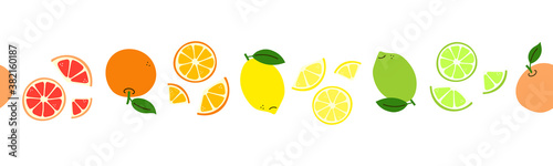 Citrus fruit. Line pattern with lemon, lime, orange, grapefruit. Seamless border. Set of bright vector fruits isolated on white background. Endless ornament. Frame template. Edge decor in flat style