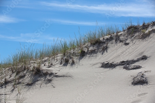 Fototapeta Naklejka Na Ścianę i Meble -  Isolation and Nature's Beauty - The dunes of Cape Cod-3
