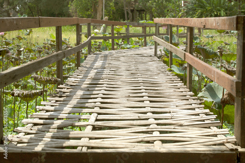 Old bamboo bridge that enters the lotus pond