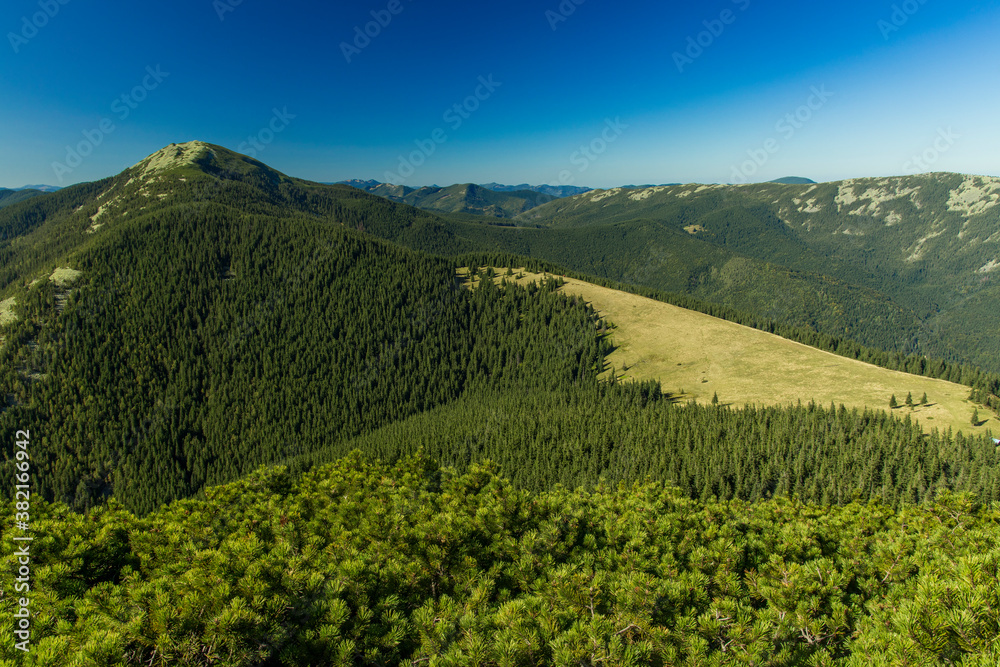 top view mountain landscape scenery landscape photography from above in summer clear weather day time green forest cover