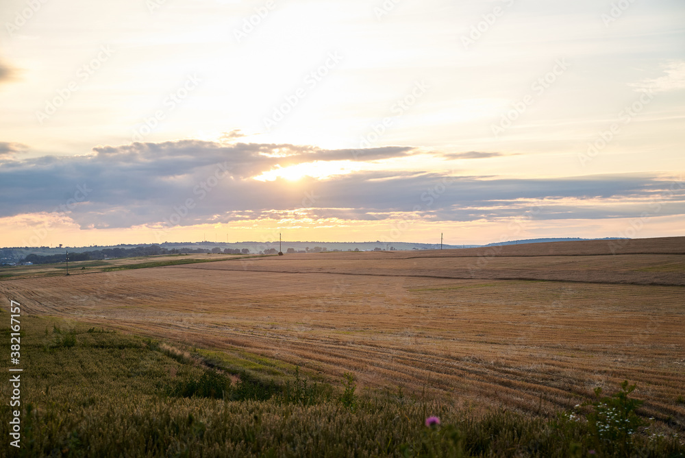 Beautiful field covered with stubble and blue yellow orange pink sky over it. Agricultural development in countryside. Ecological conservation concept. Amazing natural view at sunset. Beautiful field covered with stubble and blue yellow orange pink sky over it. Agricultural development in countryside. Ecological conservation concept. Amazing natural view at sunset.