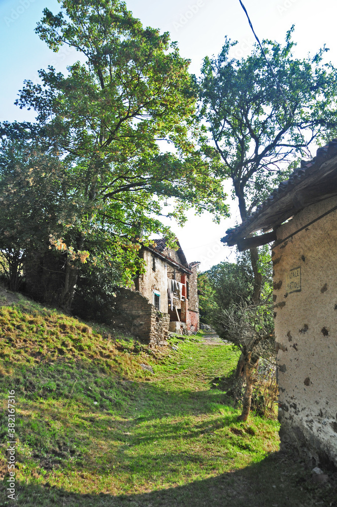 Fototapeta premium Bosco e pascoli sul Cammino di Oropa fra Graglia e Sordevolo - Biella