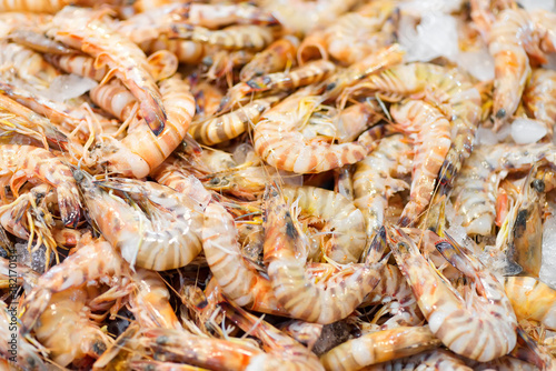 Close-up background from freshly caught natural shrimps.