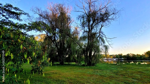 sunset in the park