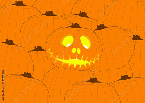 Zucche di Halloween