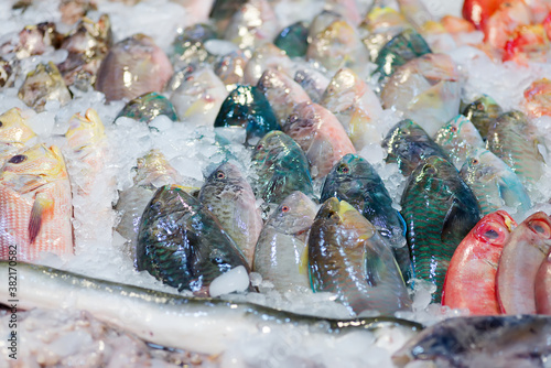 Natural freshly caught fish on an iced market counter. photo