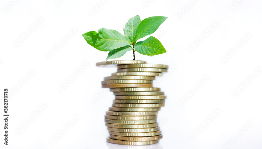 business financial planning concept. row of coins stack with green plant growth up on white background. money management sustainable savings. success investment. business financial planning concept. row of coins stack with green plant growth up on white background. money management sustainable savings. success investment.