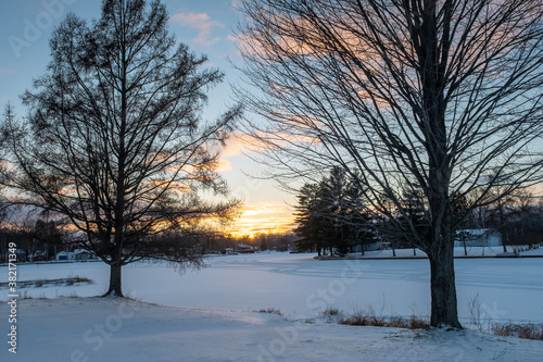 Sunset between two trees in winter in Michigan