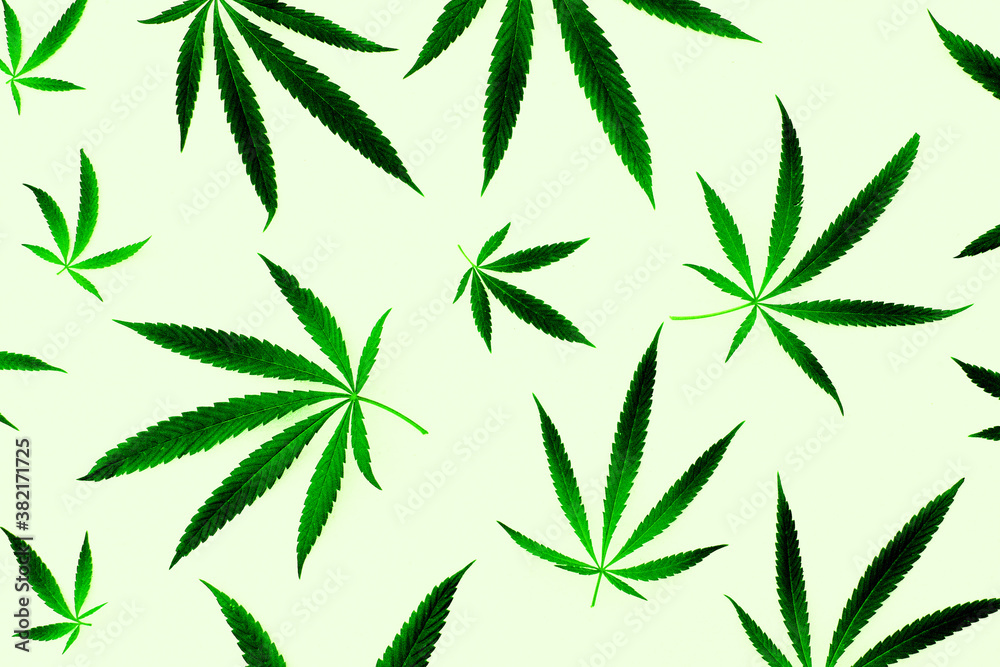 Light green background pattern with marijuana leaves, toned