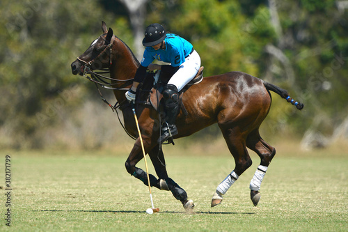 Polo player riding and hitting the ball © Oquio