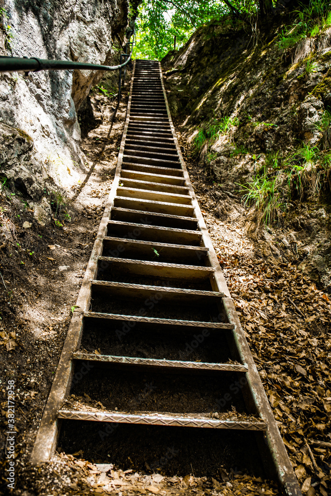 Staircase in Forest Staircase in Forest