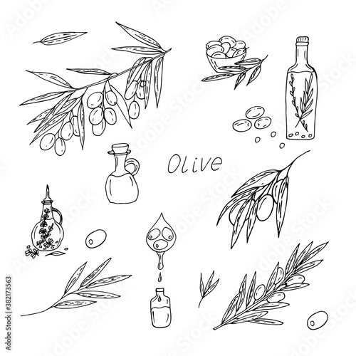 Hand drawn set of olives, olive oil with herbs, olive branches, olive oil bottles. 
