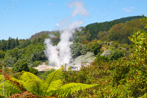 Pohutu Geyser in the Whakarewarewa Thermal Valley, Rotorua, in the North Island of New Zealand. Pohutu means big splash or explosion.