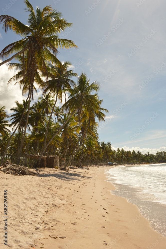 The perfect paradise beaches of Ilha Boipeba and Morro do Sao Paolo islands in Brazil The perfect paradise beaches of Ilha Boipeba and Morro do Sao Paolo islands in Brazil