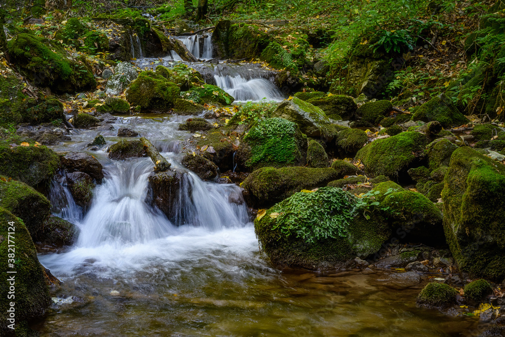 Fototapeta premium zadielska valley with a picturesque stream and green vegetation