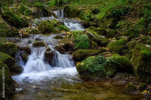 Fototapeta Naklejka Na Ścianę i Meble -  zadielska valley with a picturesque stream and green vegetation