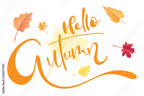 Hello Autumn brush hand lettering text isolated