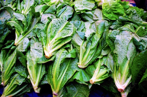 Stall with lettuce at street market