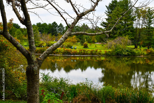 Garden Lake surrounded by trees and plants in the fall © Arnes Marquez