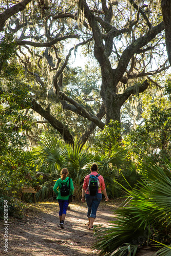 Two women hikers walk througha Live Oak and spanish moss forest on Cumberland Island, Georgia, with Palmettos in forground.