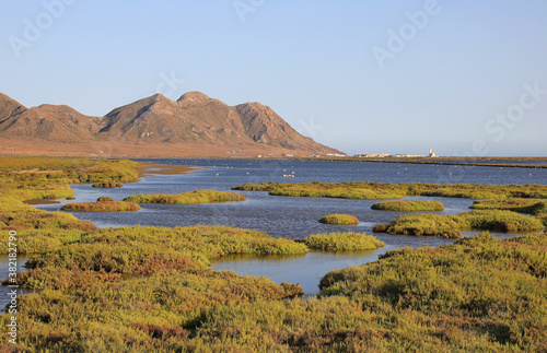 humedal de cabo de gata las salinas almería 4M0A9990-as20 photo