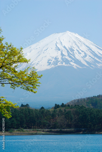 富士と新緑 © Paylessimages