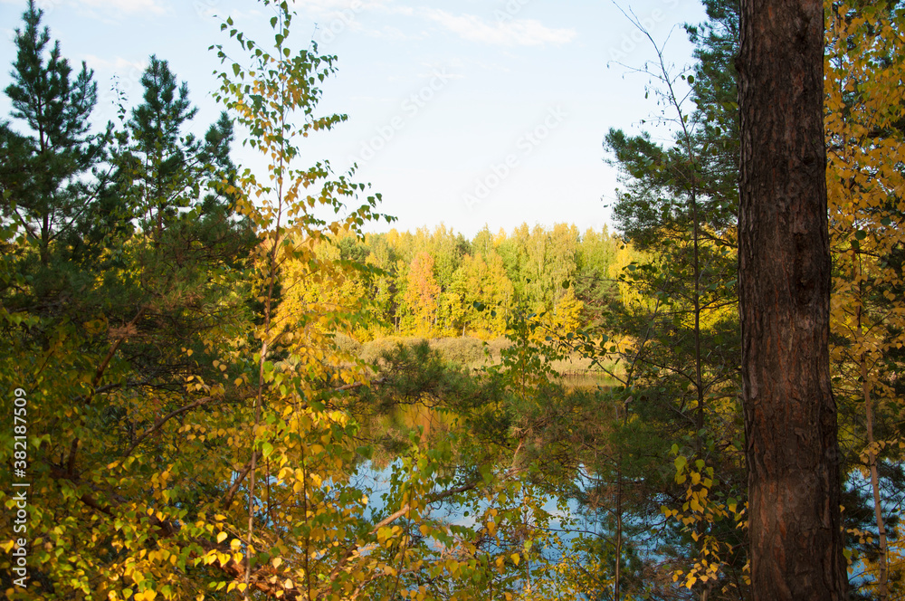 Look through the autumn forest around the lake