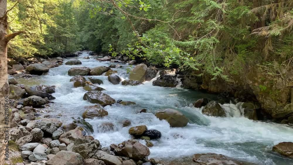 The North Fork Nooksack River in the Mt. Baker-Snoqualmie National Forest