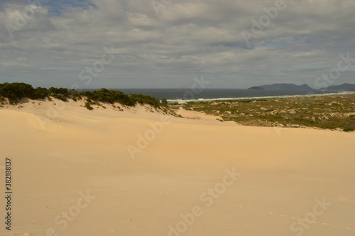Fototapeta Naklejka Na Ścianę i Meble -  The sand dunes and beaches on Santa Catarina Island (Florianopolis) in Brazil