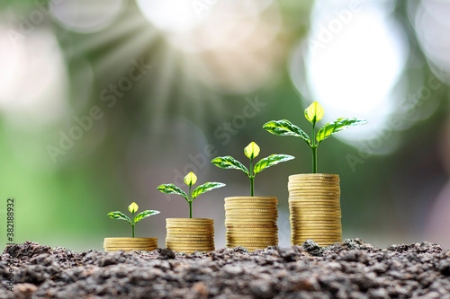 Growing plants on coins stacked on green blurred backgrounds and natural light with financial ideas.