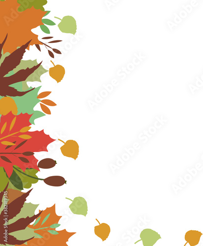 Background for your text with information, autumn theme. On the side are the leaves and branches of various trees in red, orange and brown tones