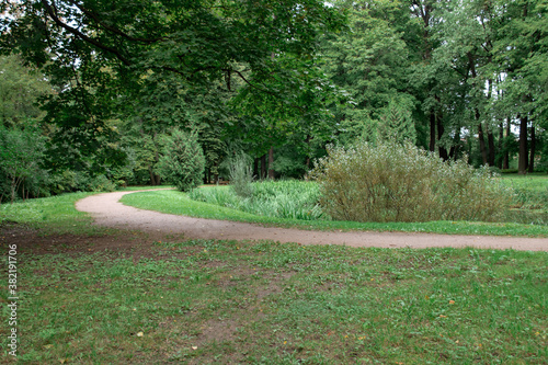 path in the city Park among the trees