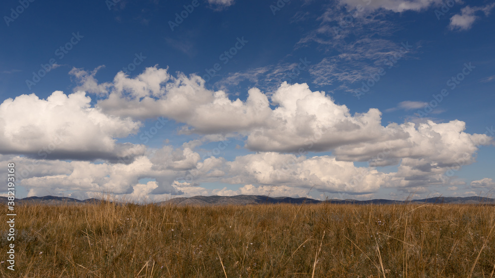 Steppe meadow in Khakassia. Landscape with a grass, hills and the sky.
