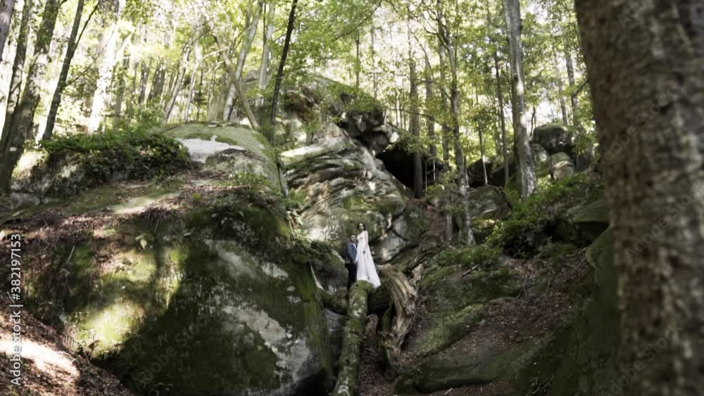 The newlyweds stand against a background of large massive stones overgrown with moss high in the mountains among the autumn forest and fallen yellow-brown leaves and look in one direction, bottom view The newlyweds stand against a background of large massive stones overgrown with moss high in the mountains among the autumn forest and fallen yellow-brown leaves and look in one direction, bottom view
