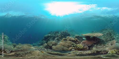 360VR Foto  Beautiful underwater world with coral reef and tropical fishes. Panglao  Philippines. Travel vacation concept