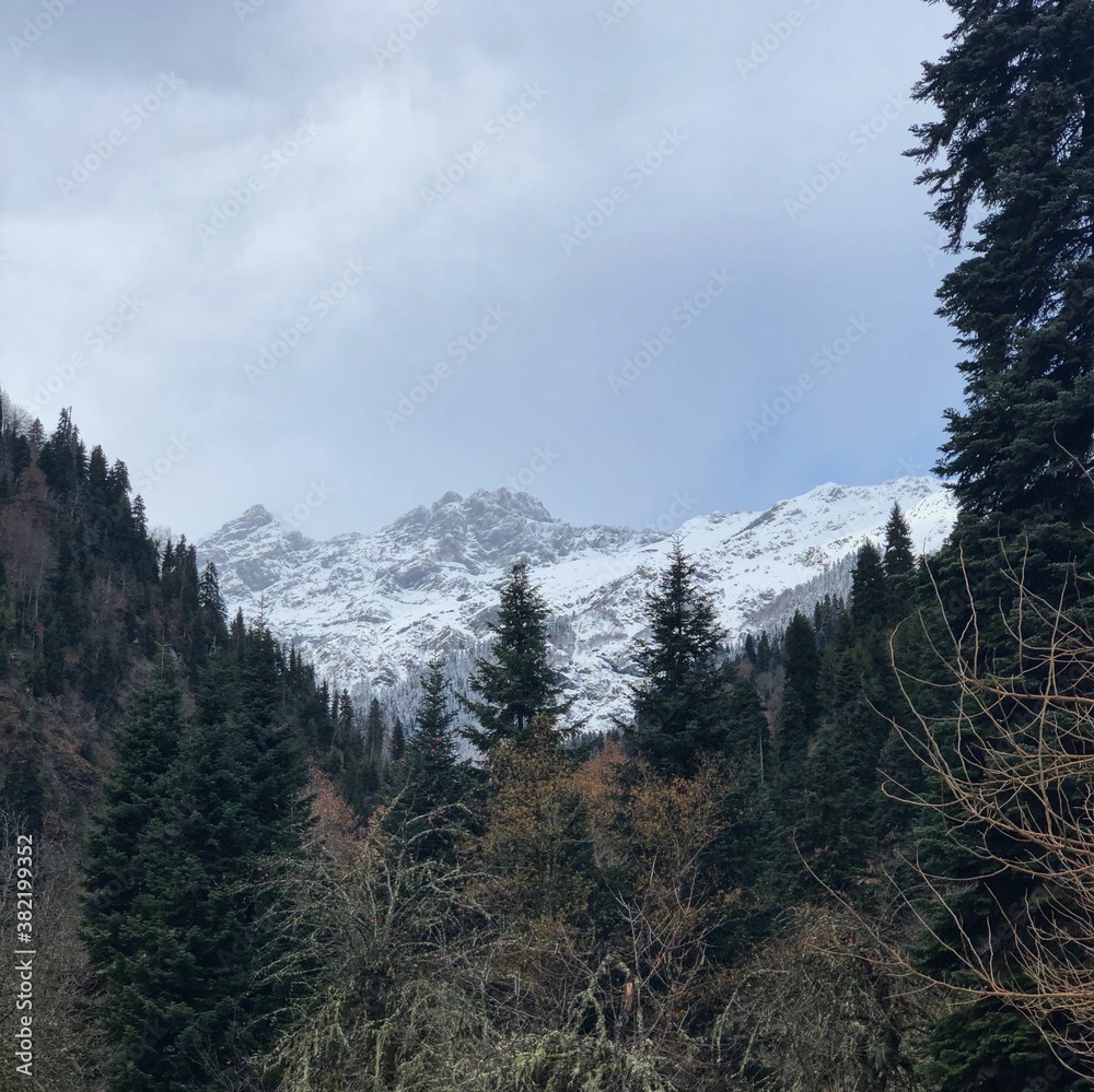 Obraz premium Mountain