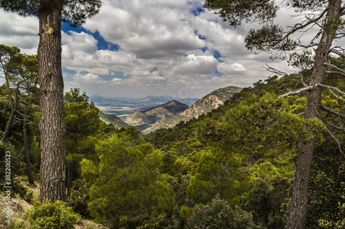 Sierra Espuña, Murcia, Spain