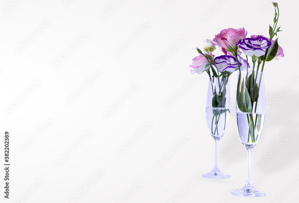 Eustoma in champagne glasses on white background
