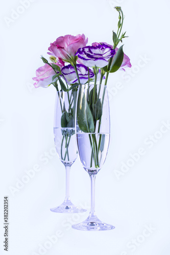 Eustoma in champagne glasses on white background