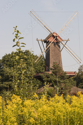 Im Rapsfeld