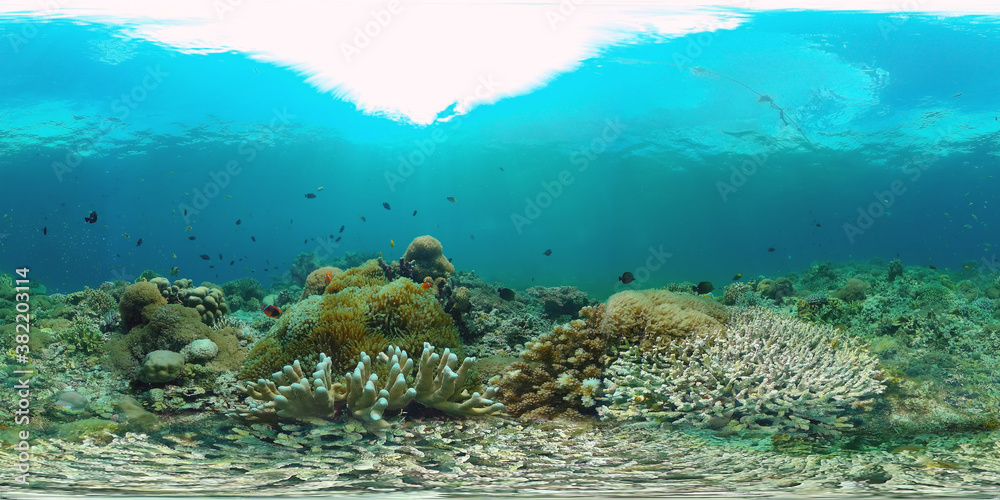 Coral reef underwater with fishes and marine life. Coral reef and tropical fish. Panglao, Philippines. VR 360 Foto.