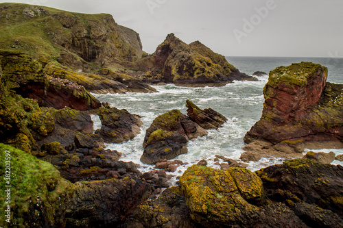 St Abb´s Head, Scotland