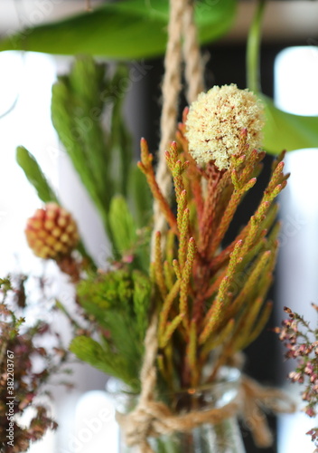 DaCryDium Flowers are part of the decoration for beauty. photo