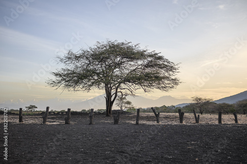 Baluran in sunset time taken from Baluran National Park, Banyuwangi, Indonesia © Mohammad