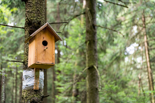 New wooden birdhouse for birds hanging on a pine tree