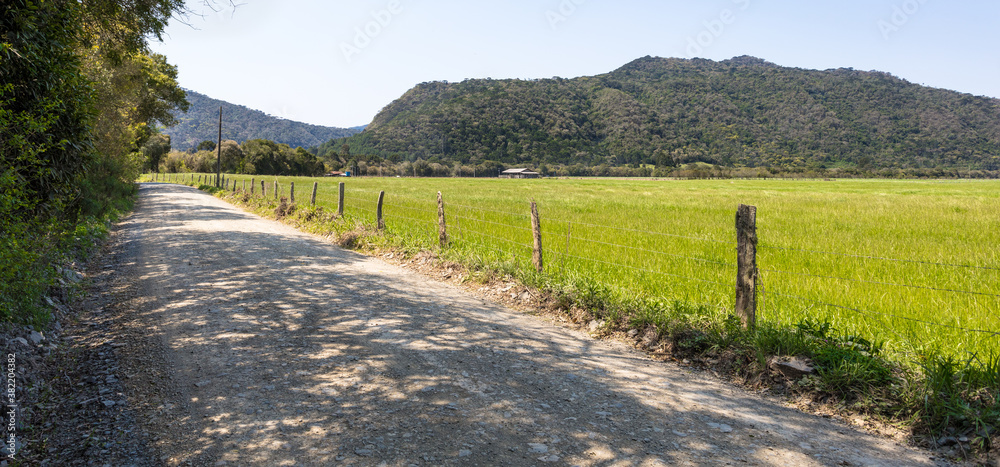 Paisagem rural com estrada de terra e plantação de arroz