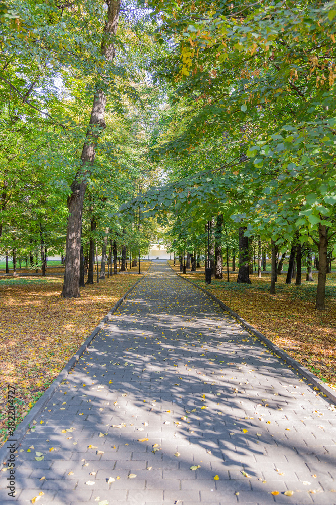 A path for pedestrians to walk in a modern green city park in the autumn daytime