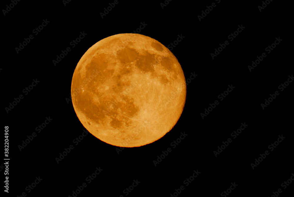 Obraz premium 満月