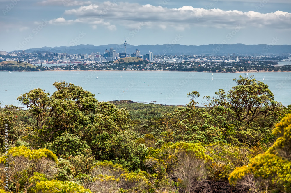 Fototapeta premium Skyline of Auckland in New Zealand
